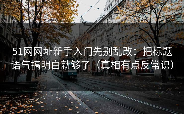 51网网址新手入门先别乱改：把标题语气搞明白就够了（真相有点反常识）