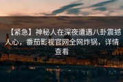 【紧急】神秘人在深夜遭遇八卦震撼人心，番茄影视官网全网炸锅，详情查看