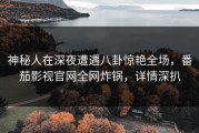 神秘人在深夜遭遇八卦惊艳全场，番茄影视官网全网炸锅，详情深扒