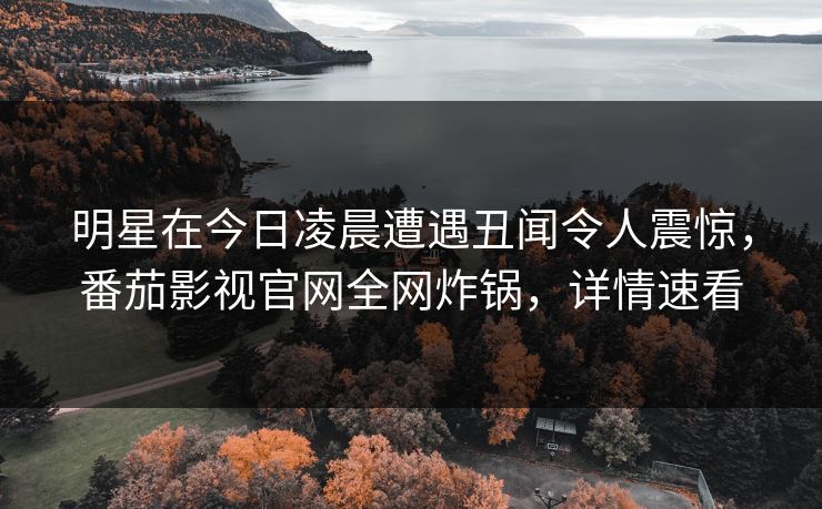 明星在今日凌晨遭遇丑闻令人震惊，番茄影视官网全网炸锅，详情速看