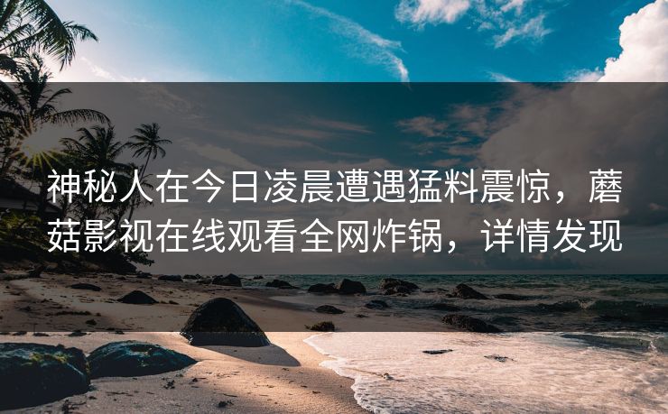 神秘人在今日凌晨遭遇猛料震惊,蘑菇影视在线观看全网炸锅,详情发现 神秘人在今日凌晨遭遇猛料震惊,蘑菇影视在线观看全网炸锅,详情发现